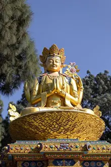 Lotus Prints: The Golden Buddha Statues in Buddha park