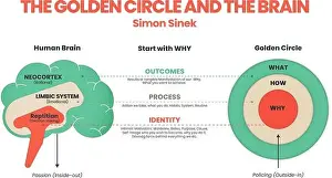 The Golden Circle and brain illustration of Simon Sinek has 3 elements starting with Why question