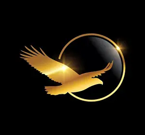 Hawk Prints: Golden Flying Eagle Logo vector icon
