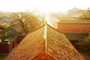 Miao Prints: Golden glazed roof tiles of City God Temple, Forbidden City, Beijing, China