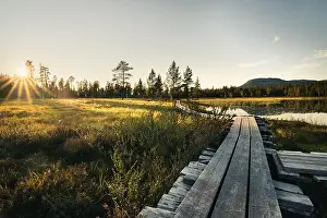 Golden Light Prints: Golden hour bathes the grass and lake
