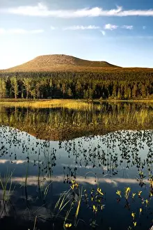 Golden hour, Städjan mountain showcases its symmetrical reflection in the serene lake surrounded by lush greenery