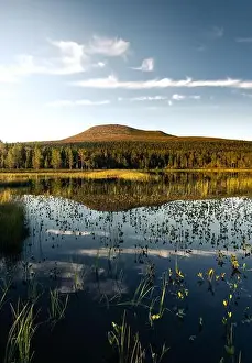 Golden hour, Städjan mountain showcases its symmetrical reflection in the serene lake surrounded by lush greenery