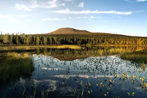 Clouds Sky Prints: Golden hour, Städjan mountain showcases its symmetrical reflection in the serene lake surrounded by lush greenery