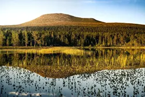 Golden hour, Städjan mountain showcases its symmetrical reflection in the serene lake surrounded by lush greenery
