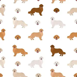 Labrador Prints: Golden retriever dogs in different poses and coat colors