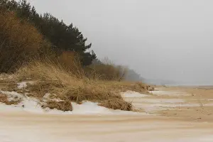 Natural Textures Prints: Golden sand dunes dusted with light snow contrast with dry grasses and sparse coastal vegetation