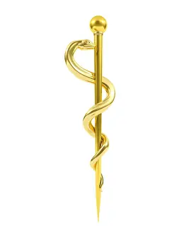 Aesculapius Prints: Golden Staff of Aesculapius Medical Symbol, 3D rendering