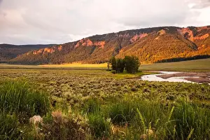Yellowstone Prints: Golden sunlight over Lamar Valley with vibrant hills and serene river