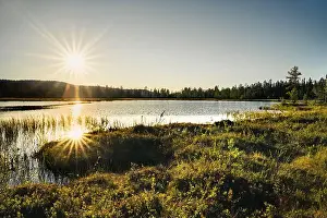 Sunrays Prints: Golden sunset cast sunstar reflection on a calm lake
