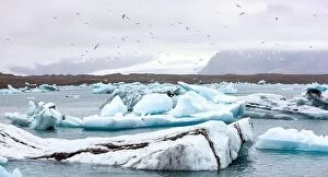 Images Dated 13th June 2016: Gorgeous landscape with floating icebergs in Jokulsarlon glacier lagoon, Iceland