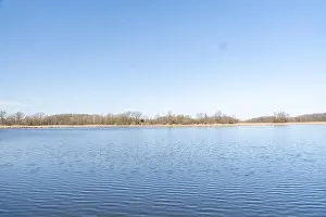 Silence Prints: A gorgeous view of water near trees and plants at a local park in Minnesota