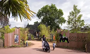 Architects Prints: gorilla kingdom main entrance with mother and toddler