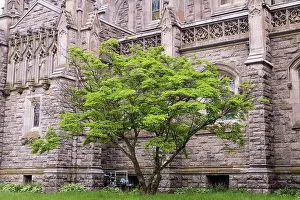 Historic Landmark Prints: Gothic stone church, its majestic architecture featuring intricate details and towering spires