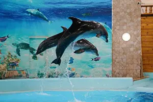 Trainers Prints: Graceful Dolphins Breaching in a Vibrant Underwater Scene with Marine Life Mural