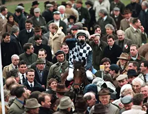 Graham Prints: GRAHAM BRADLEY ON COLLIER BAY CHELTENHAM FESTIVAL DAY 1 12 March 1996