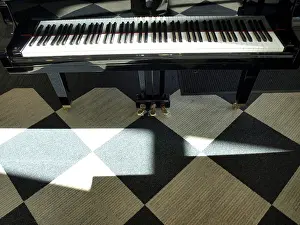 Checkered Prints: grand piano keyboard in bright sunlight on checkered carpeted floor pedals keys