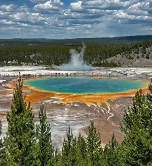Hot Spring Prints: Grand Prismatic Spring, Yellowstone National Park