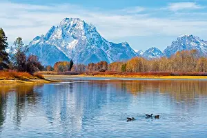 Ducks Prints: Grand Tetons from Oxbow Bend, Grand Teton National Park, Wyoming State, USA