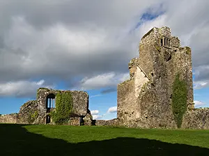 National Monument Prints: Grannagh Castle national monument, Co. Kilkenny, Ireland