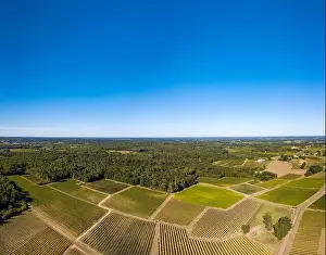 Green Valley Prints: Grape harvesting machine, Aerial view of Wine country harvesting grape with harvester machine