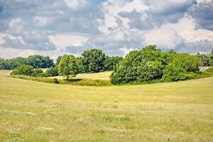 Images Dated 3rd July 2018: Grassland and meadow field landscape. Green nature scenery
