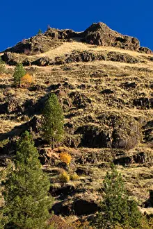 Blue Mountains Prints: Grassland slope in South Fork Walla Walla River canyon