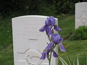 New Forest Prints: The grave of a New Zealand soldier at St Nicholas Church at Brockenhurst in the New Forest