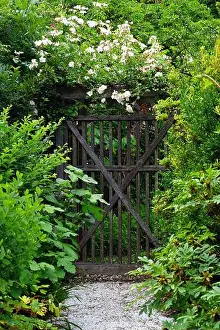 Flower Garden Prints: A gravel path in a romantic cottage garden