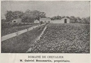 Gironde Prints: GRAVES. LÉOGNAN. Domaine de Chevalier. Beaumartin. Bordeaux. SMALL 1908 print