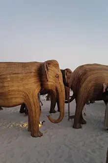 Calves Prints: The Great Elephant Migration is a captivating public art installation that graced Miami Beach in fall