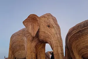 Calves Prints: The Great Elephant Migration is a captivating public art installation that graced Miami Beach in fall