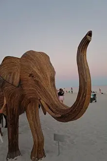 Calves Prints: The Great Elephant Migration is a captivating public art installation that graced Miami Beach in fall