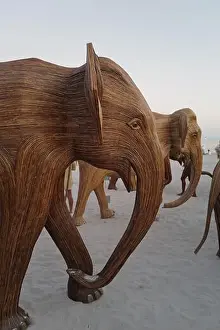 Beachfront Prints: The Great Elephant Migration is a captivating public art installation that graced Miami Beach in fall