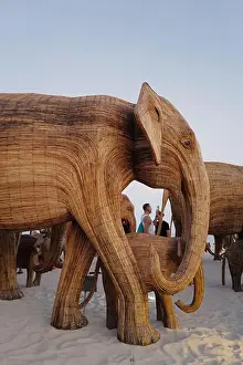 Beachfront Prints: The Great Elephant Migration is a captivating public art installation that graced Miami Beach in fall