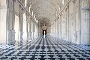 Piedmont Prints: The Great Gallery at Venaria Reale, Turin, Italy, Europe