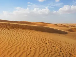 Libya Prints: Great Sahara Desert dunes Sand Sea