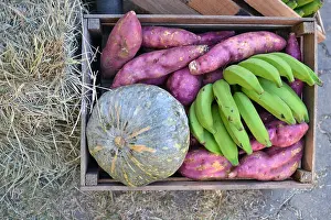 Directly Above Prints: green banana, pumpkin and sweet potato in rustic wooden crate