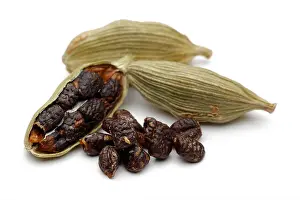 Pods Prints: Green cardamom pods and seeds close up on white background