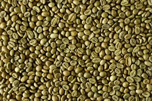 Arabica Prints: Green coffee beans texture background close up