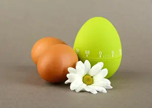 Timer Prints: Green egg timer and eggs, on color background
