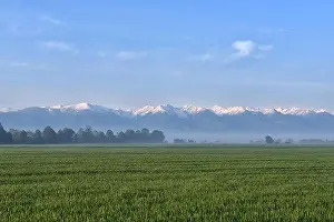 Green field against foggy forest and snowy mountains in the background