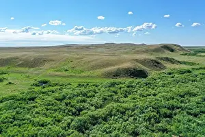 Thermometer Prints: green field of kazakhstan with blue sky and clouds