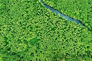 Aerial Landscape Collection: green forest greenery vegetaion and river, flat view aerial. Green forest And River Landscape In