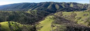 Pleasant Prints: Green grass and oak trees cover the rolling hills and valleys of the Tri-valley area of Northern California