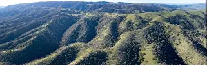 Green grass and oak trees cover the rolling hills and valleys of the Tri-valley area of Northern California, just east of San Francisco Bay