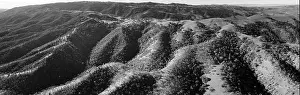 Green grass and oak trees cover the rolling hills and valleys of the Tri-valley area of Northern California, just east of San Francisco Bay
