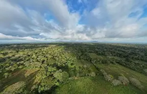 Green Forest Prints: Green jungle landscape background aerial drone view