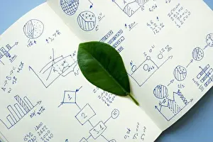 Forecast Prints: Green leaf on financial chart for sustainable business analysis