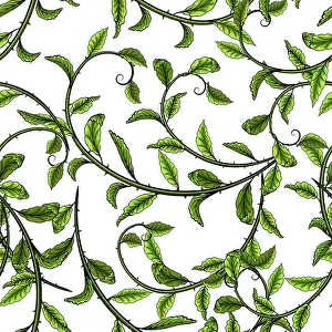 White Vector Vectors Prints: Green leaves seamless pattern on white background